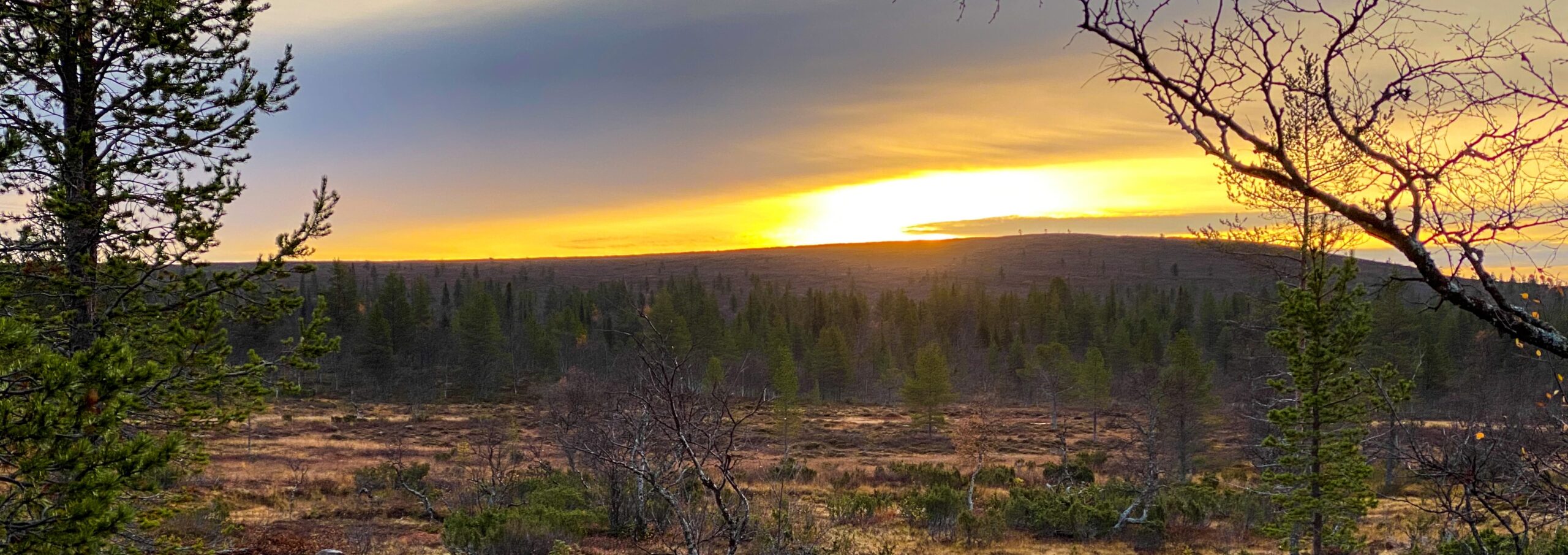 Auringonlasku Lapin erämaassa on taianomainen hetki.